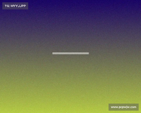 第十四届全运会赛事场地安排地点深度剖析聚焦城市分布联动布局策略